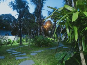 Làm tiểu cảnh sân vườn